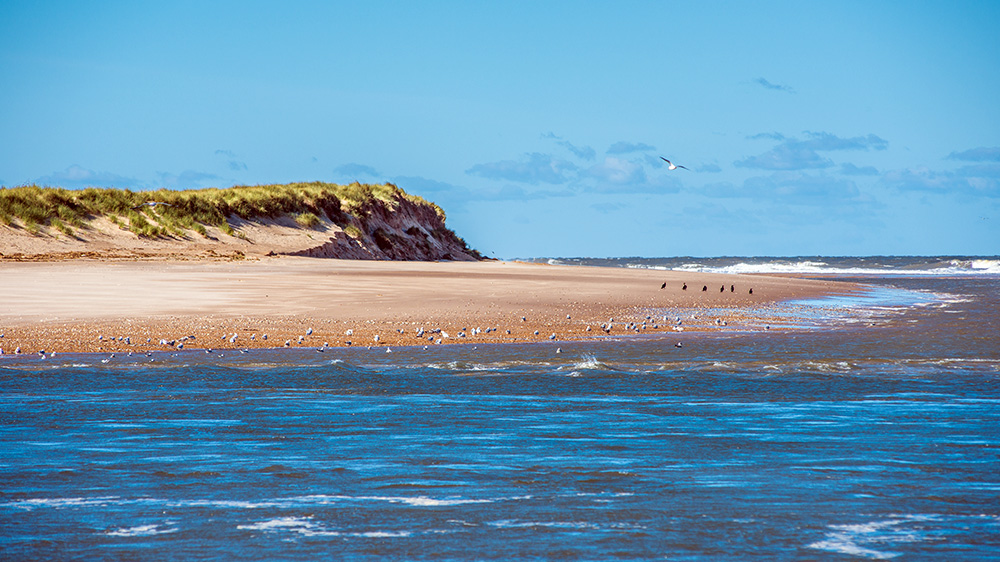 Scolt Head Island National Nature Reserve